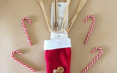 Eco-Friendly Christmas Gift Guide Under $30