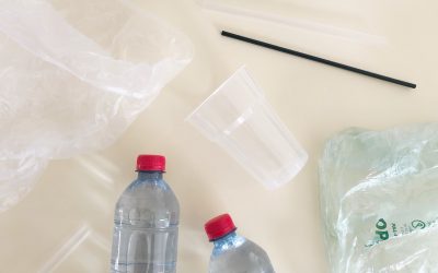 Earth Friendly Alternatives For The Big 4 Plastic Offenders